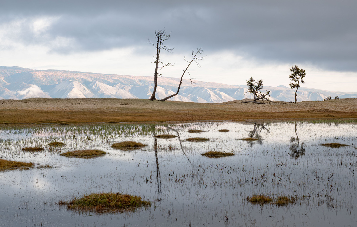 Осеннее одиночество