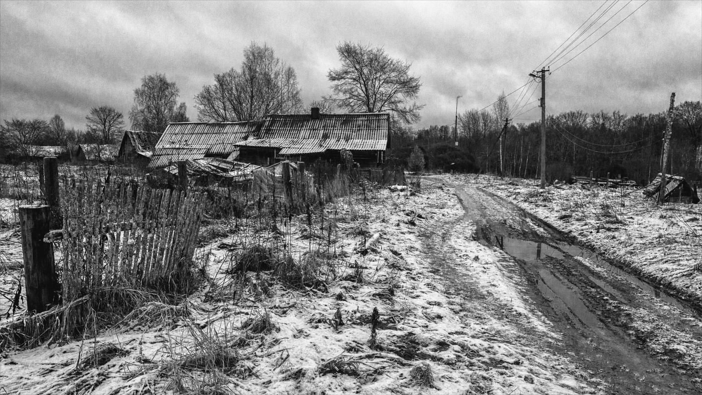 Жизнь вокруг