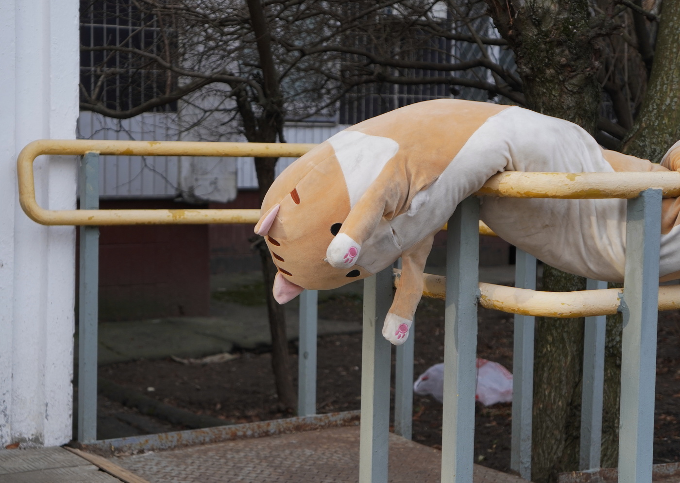 Ненужный котик