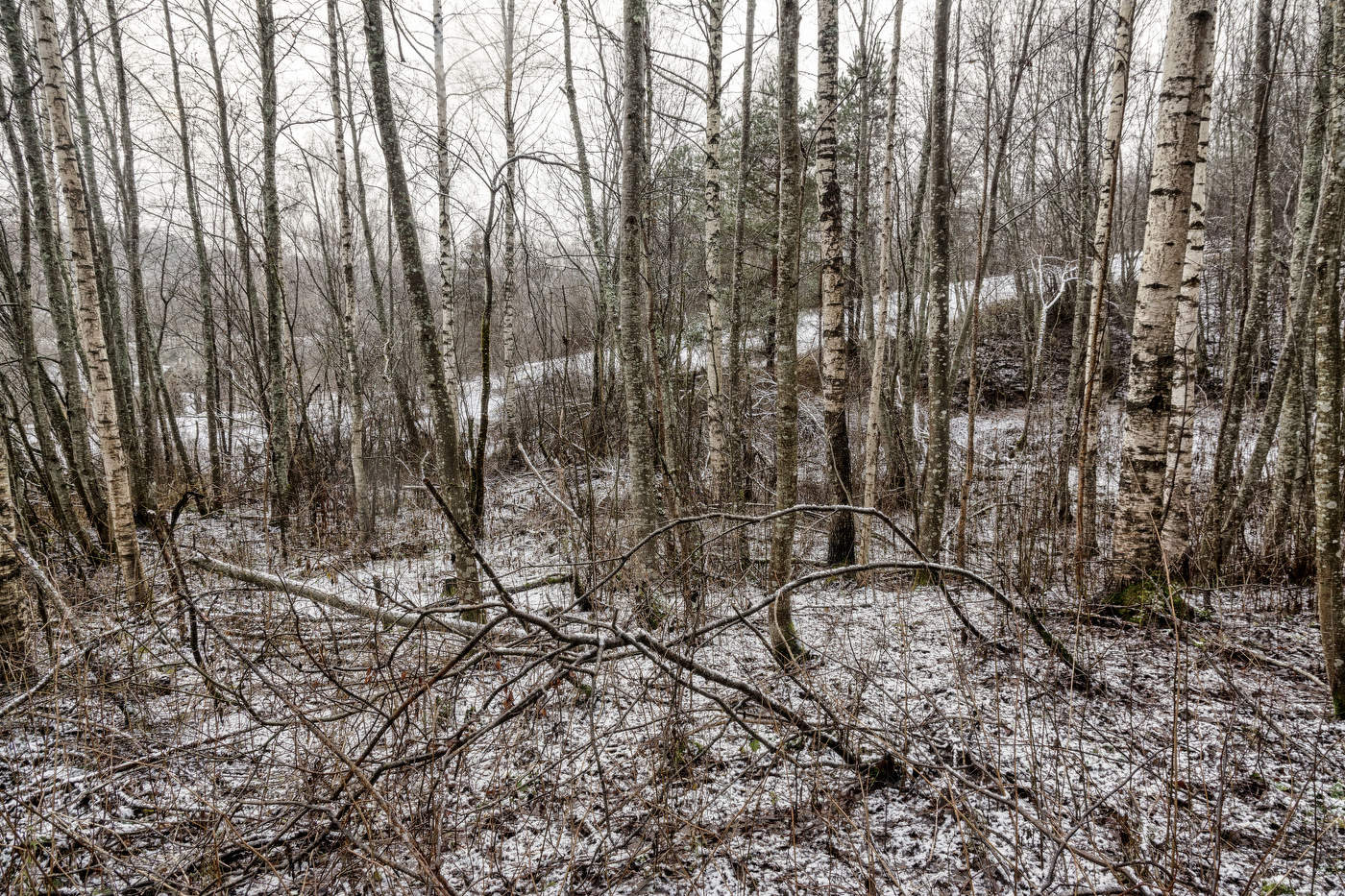 Жизнь вокруг