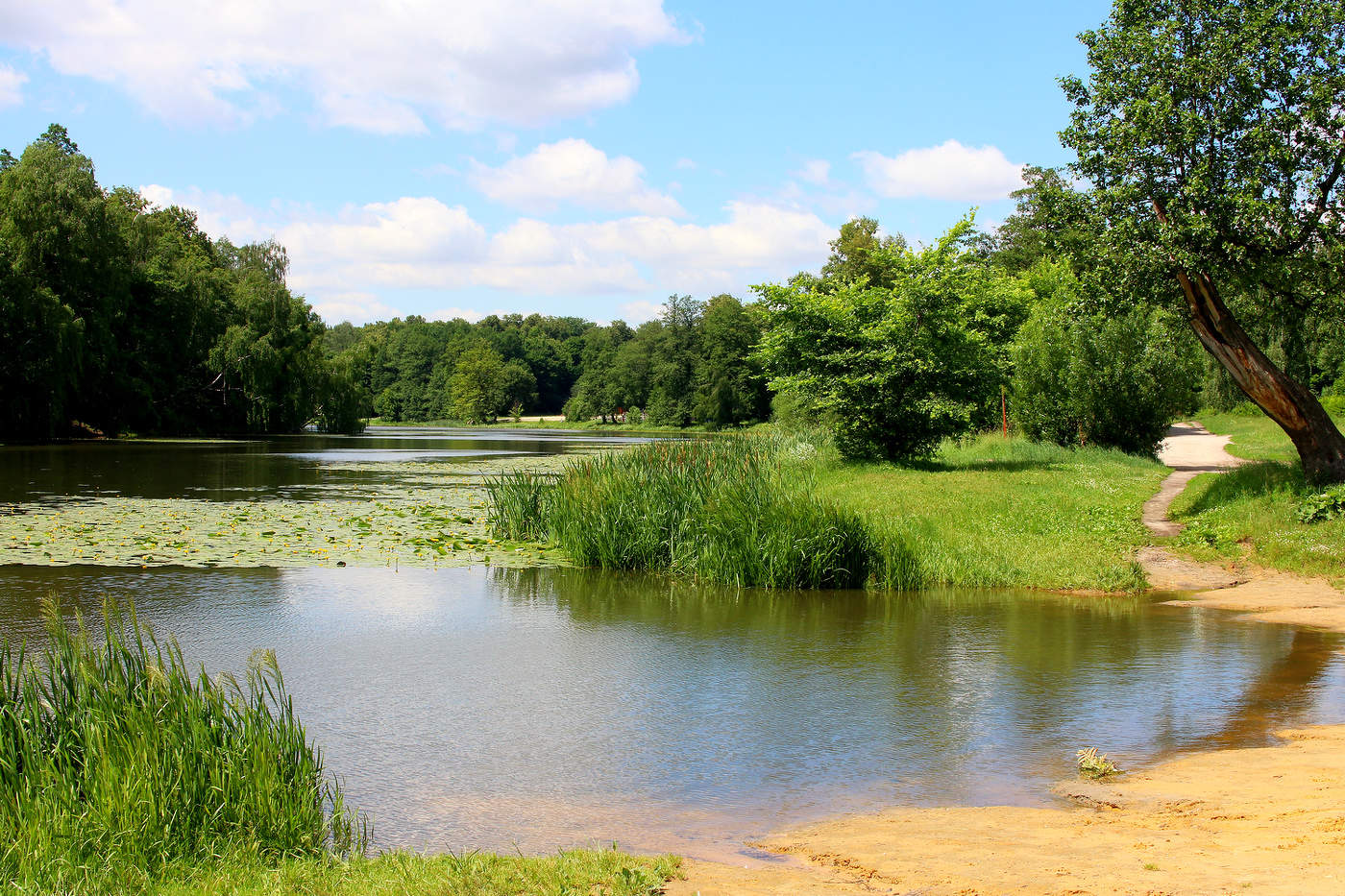 Верхний Кузьминский пруд