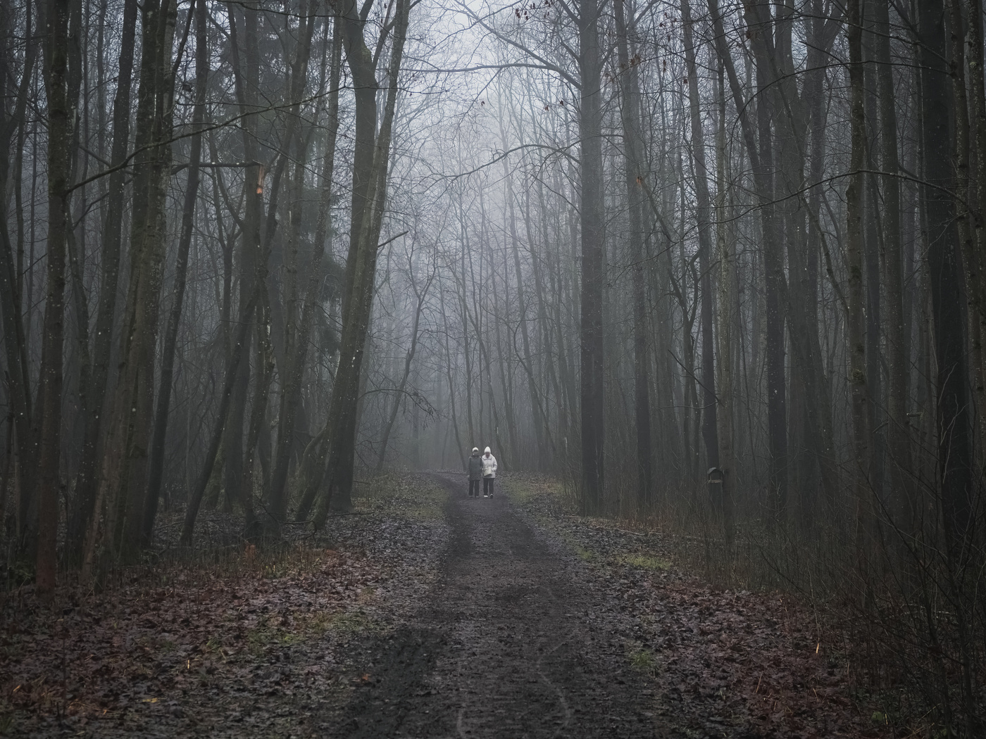 Ноябрь в декабре.