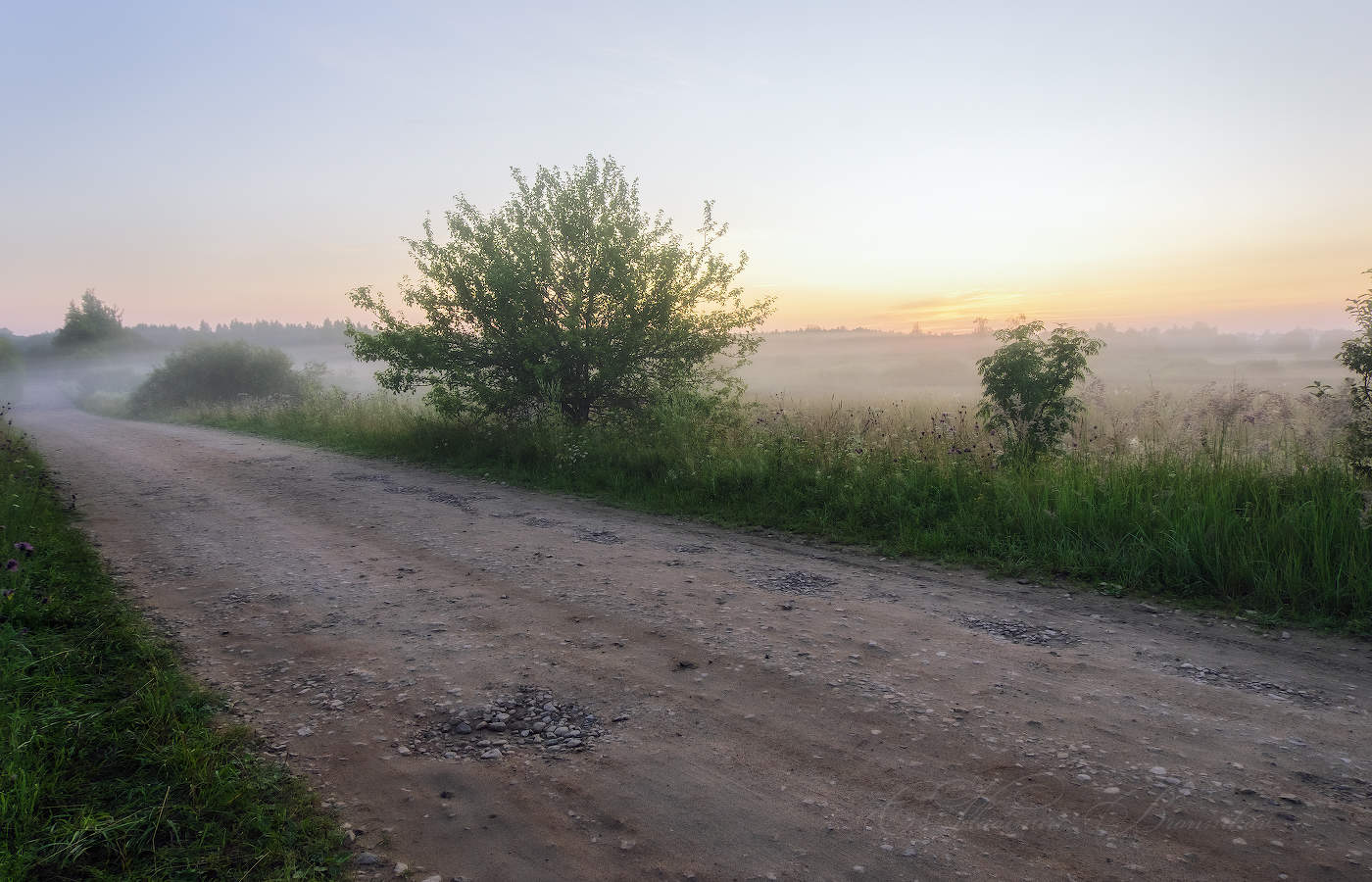 В туманную даль
