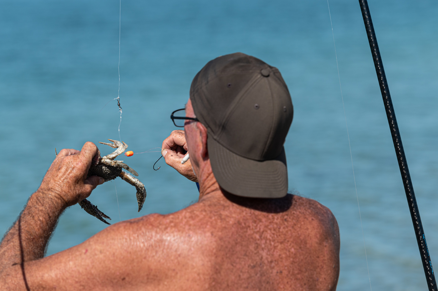 Держи краба