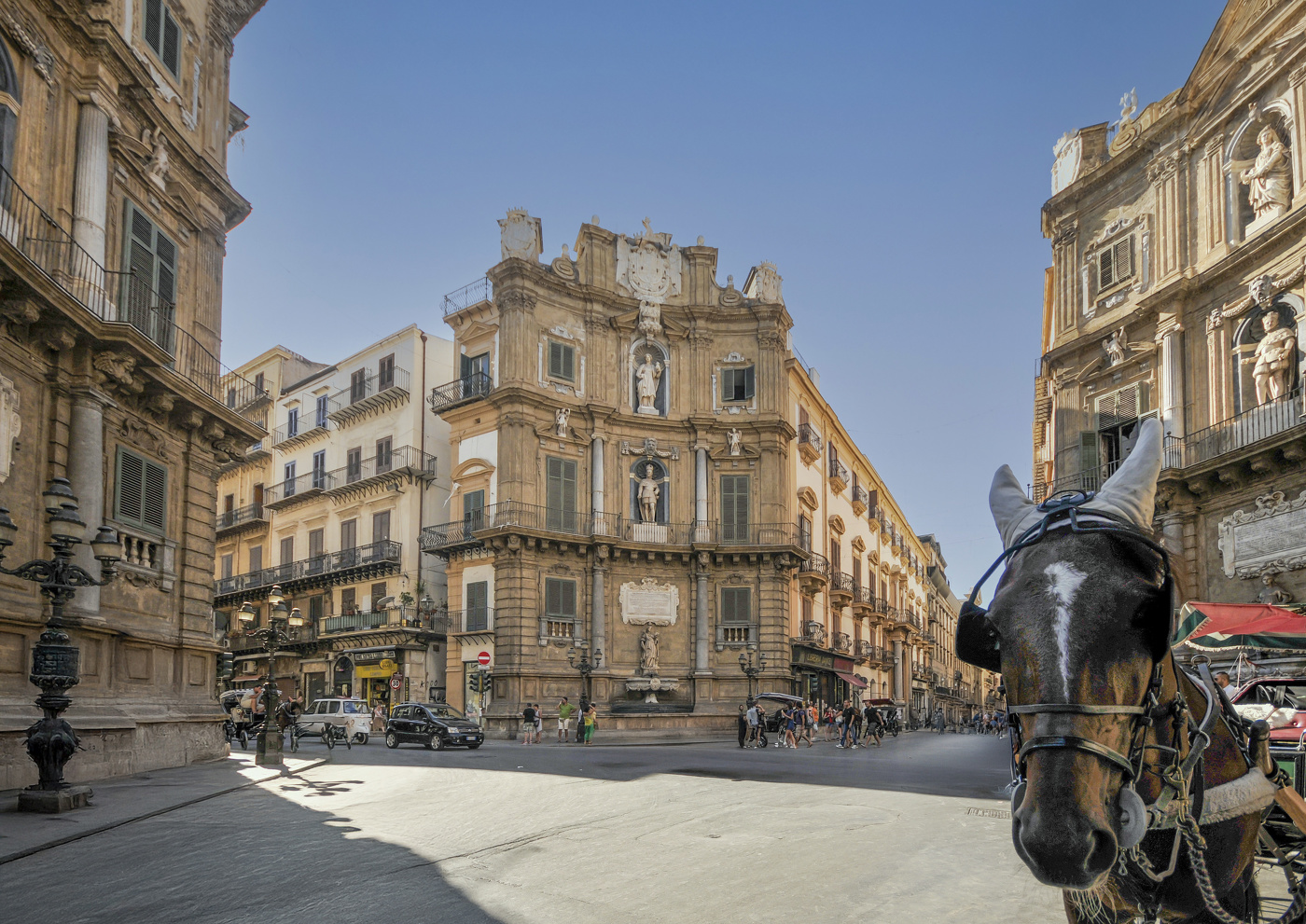 Все мы немного лошади...