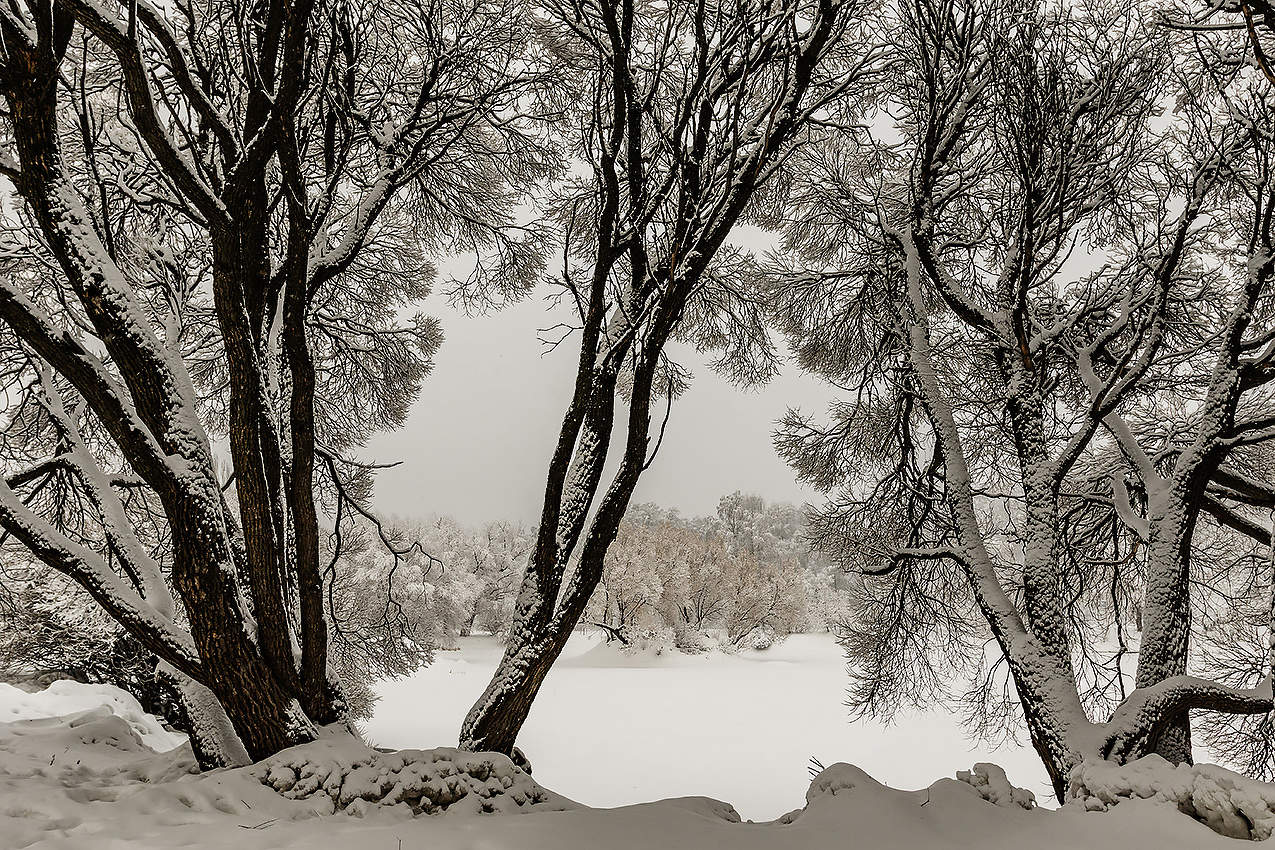 Зимняя фотоГрафика.