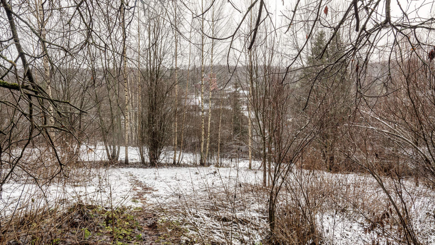 Жизнь вокруг