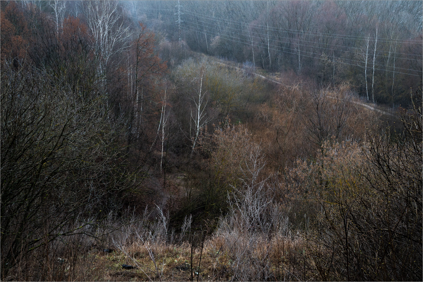 дни без света