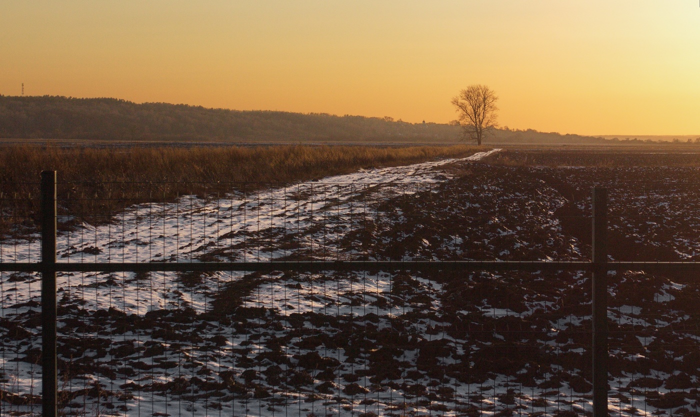 Почти свобода