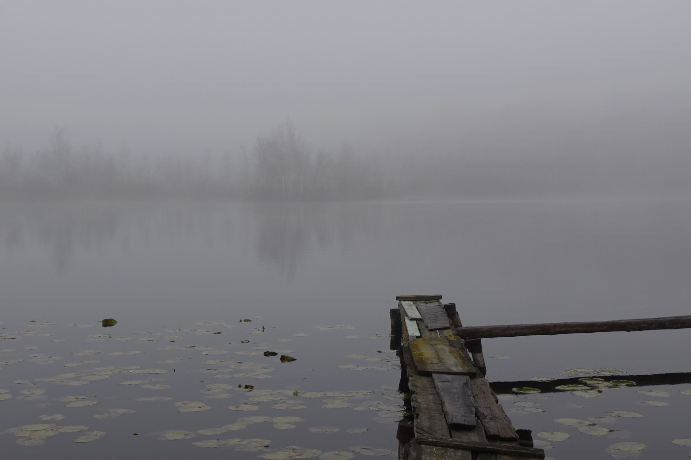 Безысходность ноября...