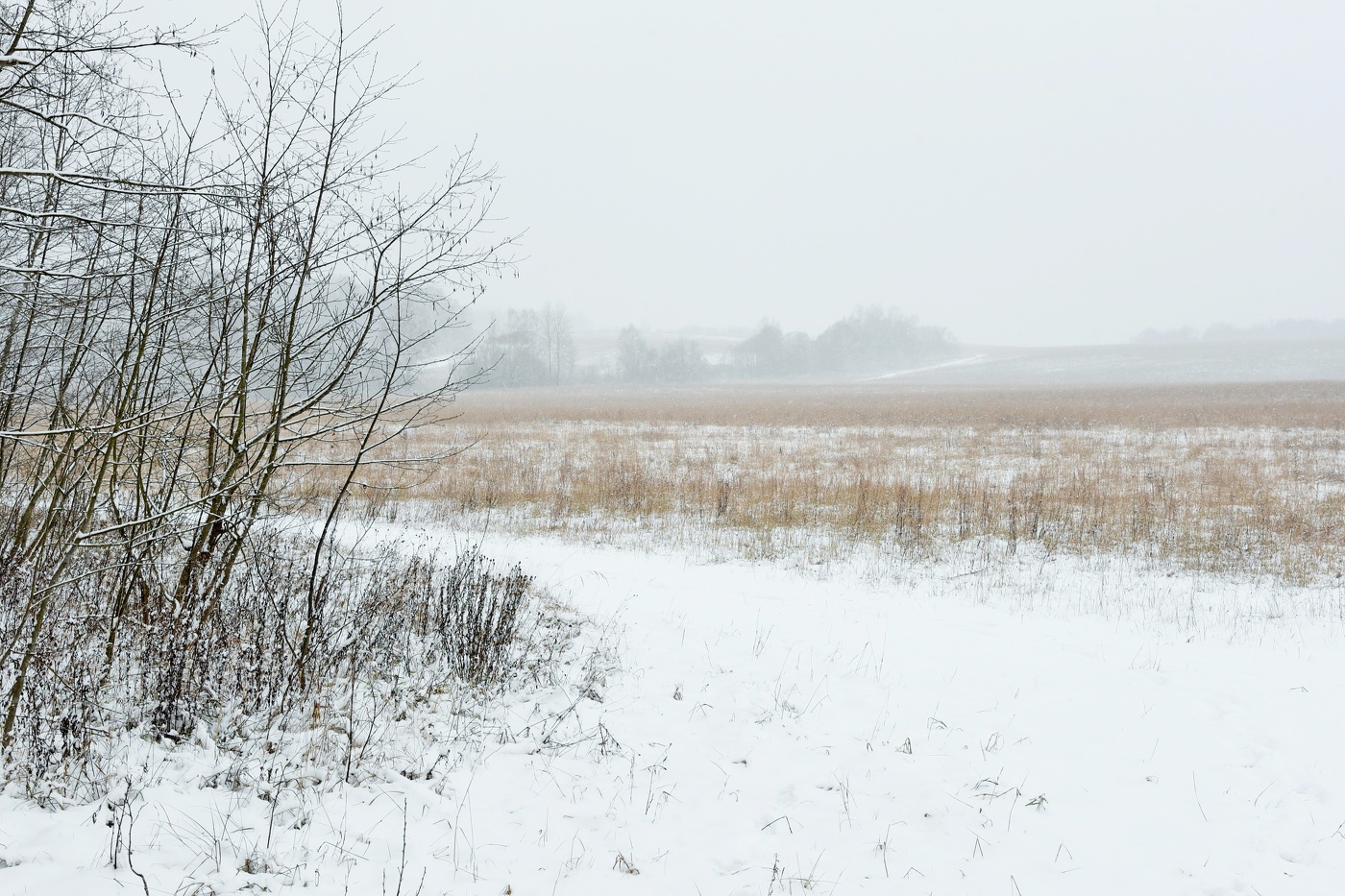 "Межсезонье - странное время между осенью и зимой..."