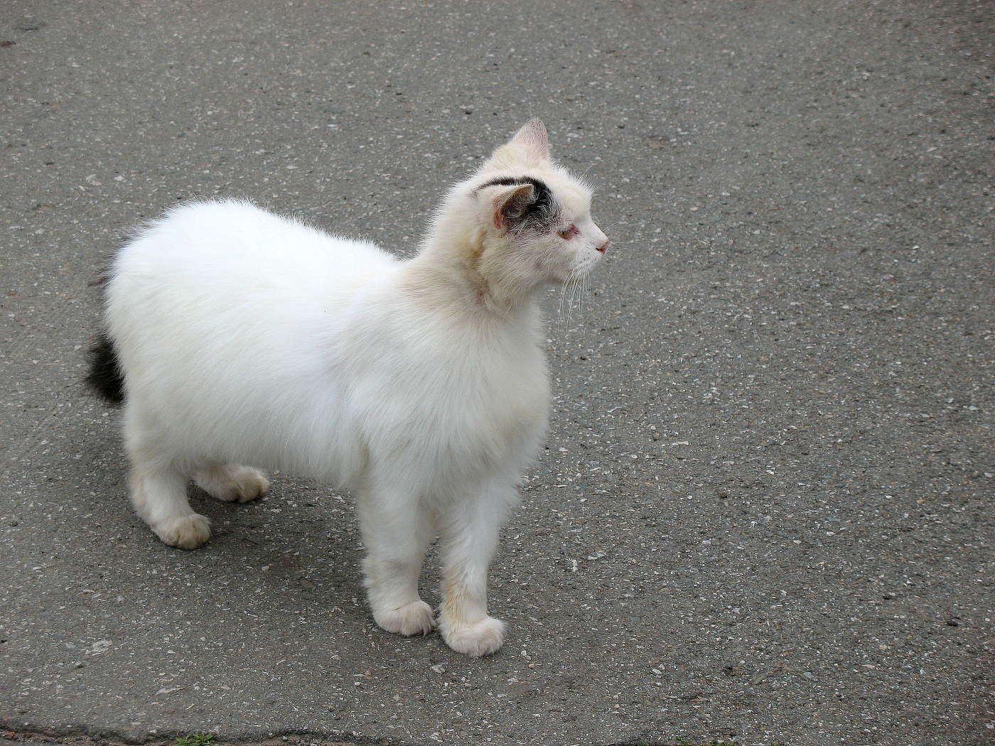 Кто это там?