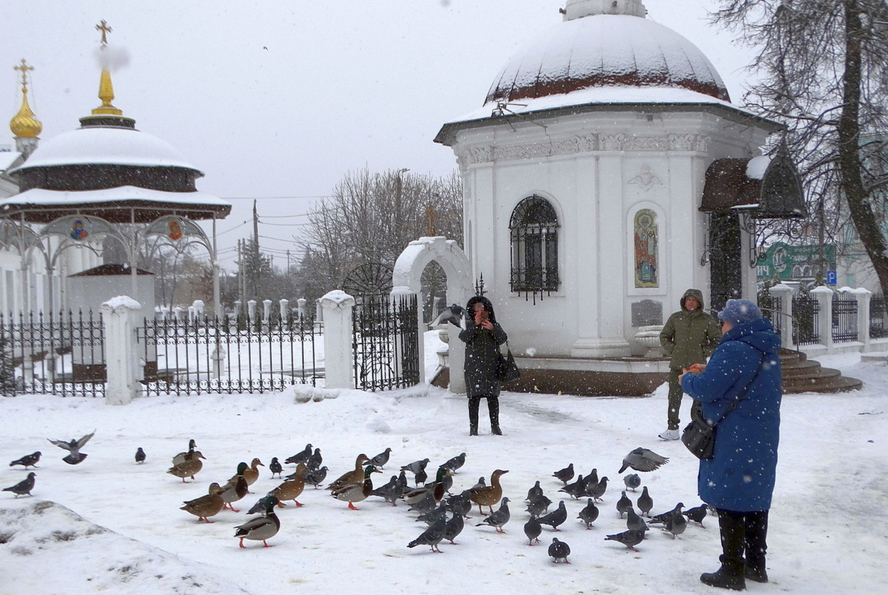 Птиц покормили в холода