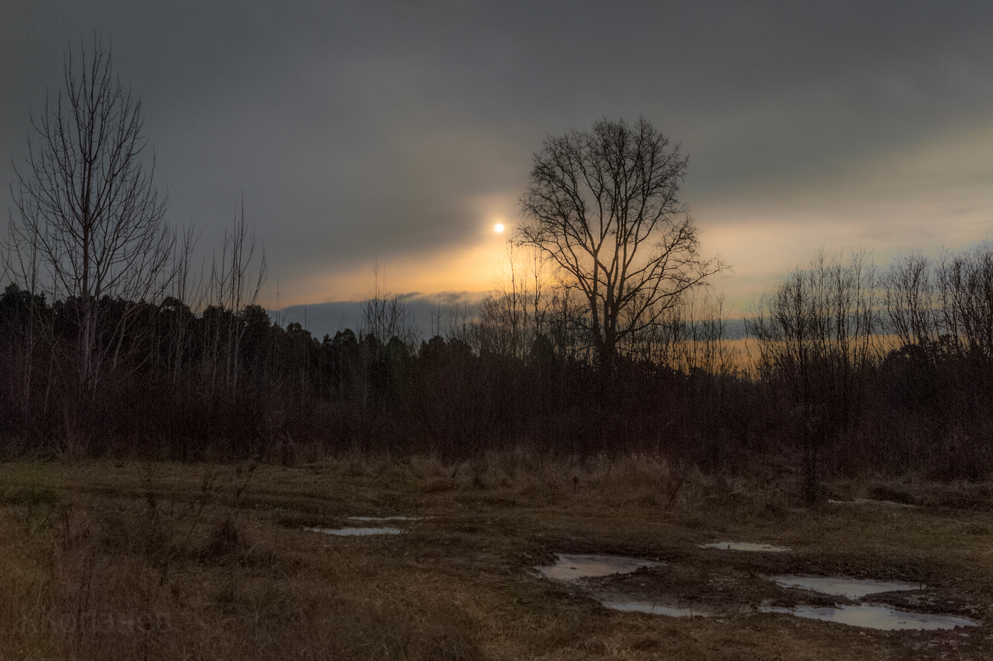 Ноябрьское утро