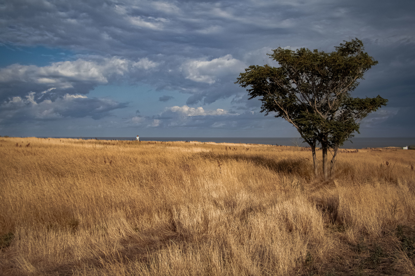 Дыхание Осени