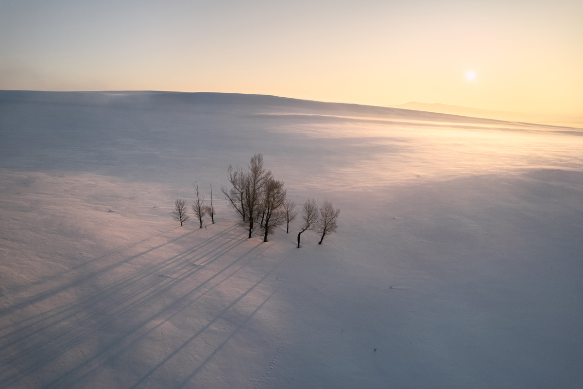 "Утро в зимней степи"