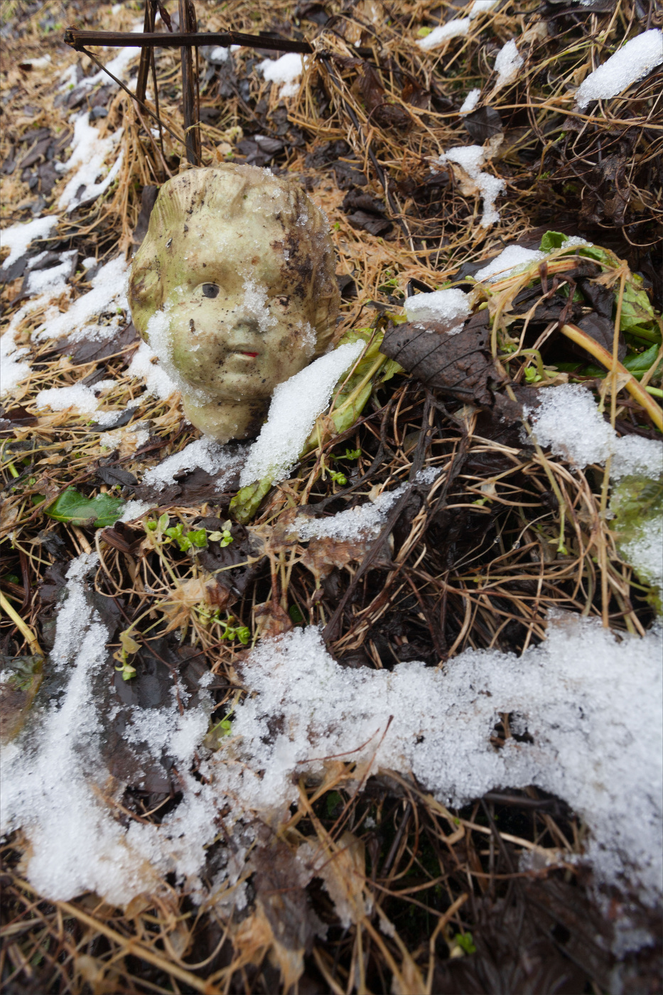 Жизнь вокруг