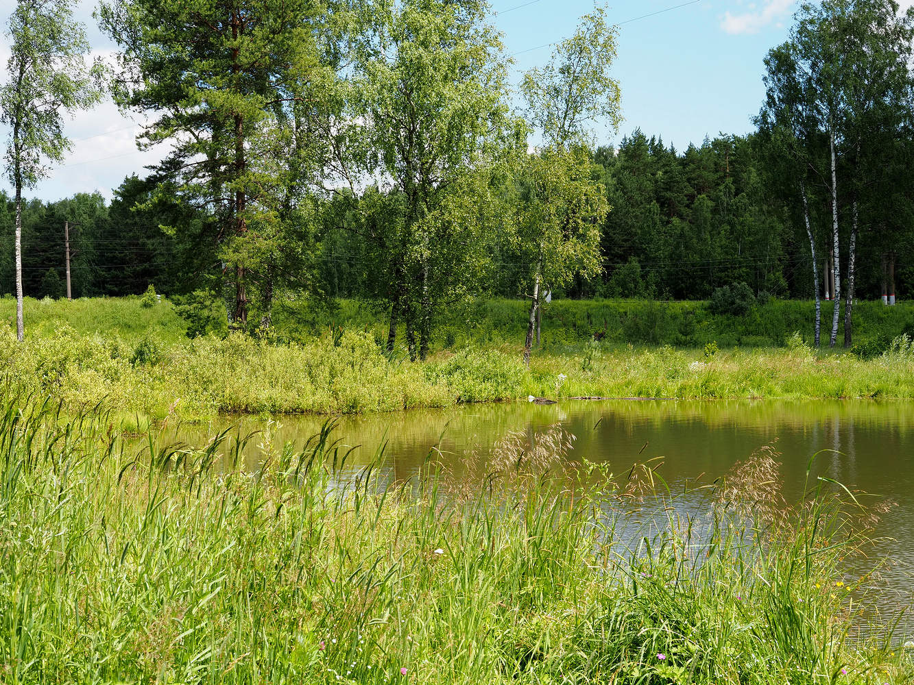 Старый карьер