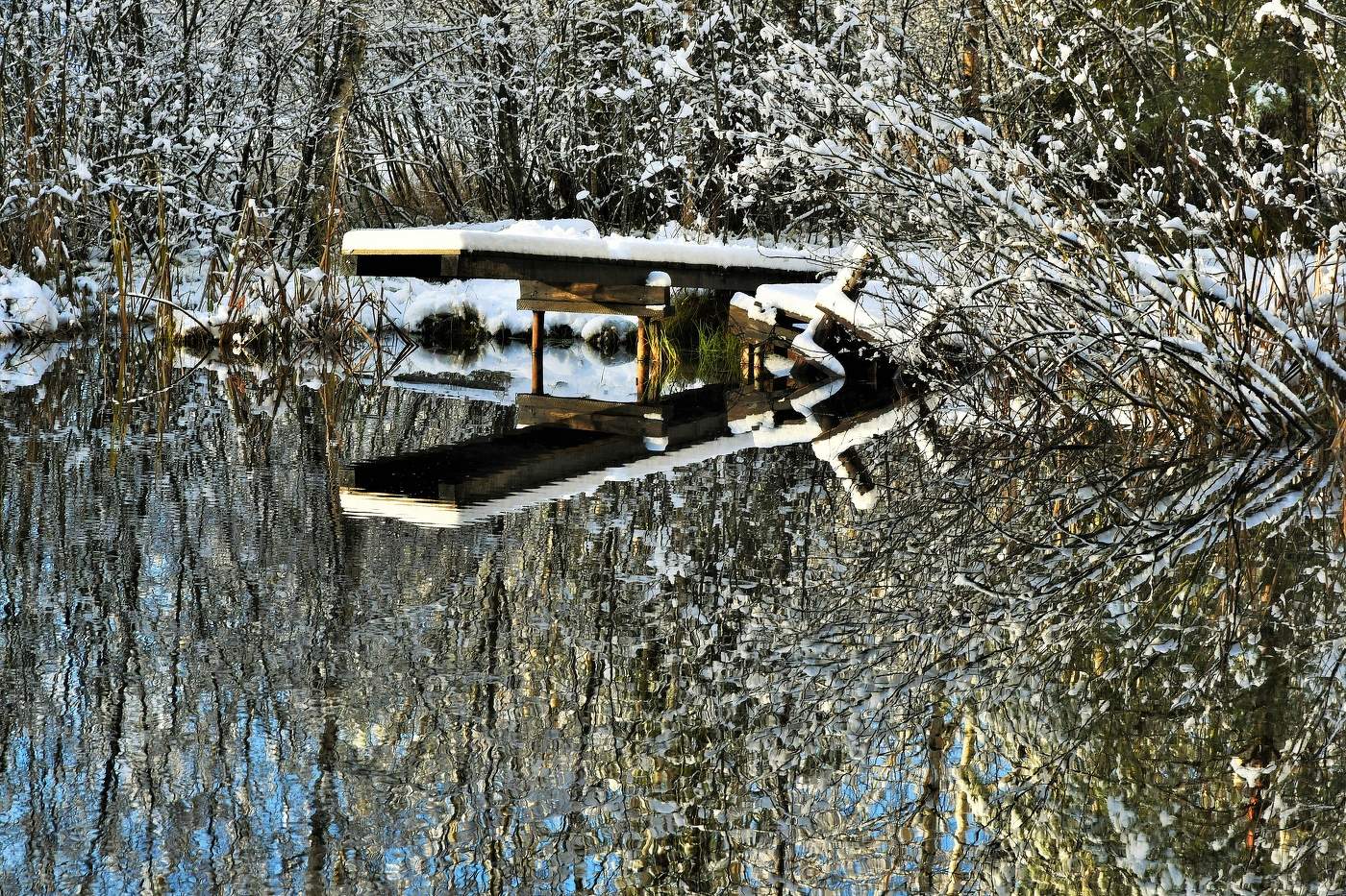 "Еще вчера царила осень, а ночью снег засыпал все ..."