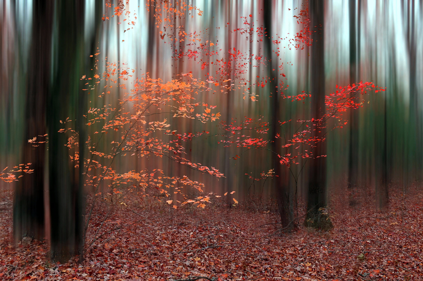 Осенний мотив