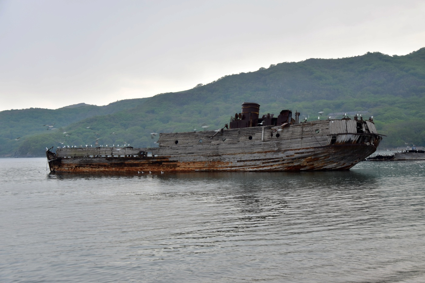 Видавшая виды...