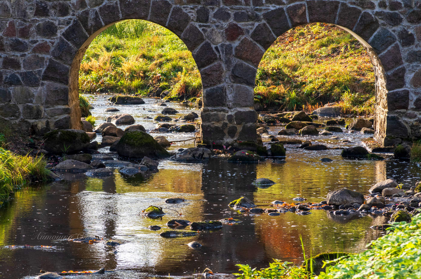 Ораниенбаум осенний.