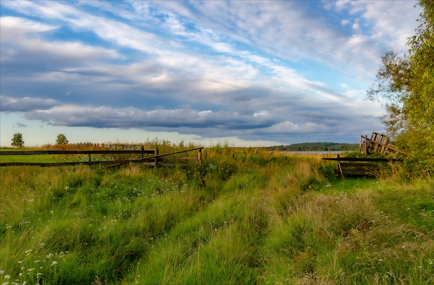 Запах тишины