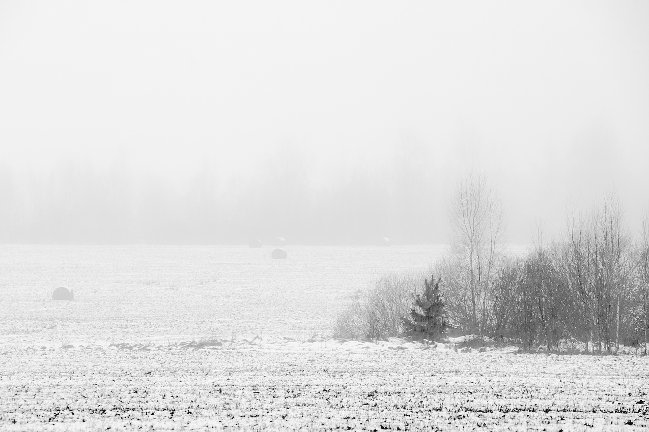 В высоком ключе