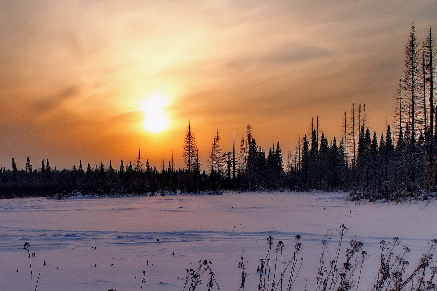 Декабрьский вечер.