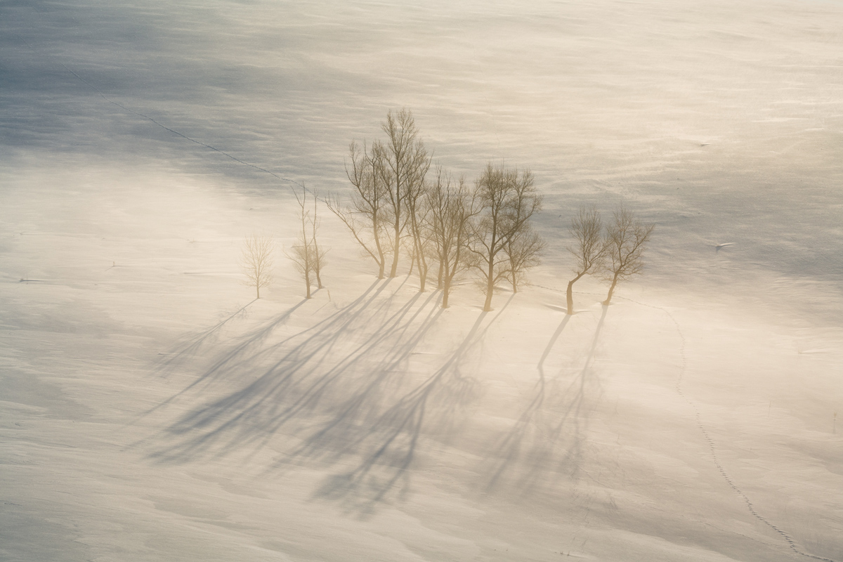 "Зимний туман"