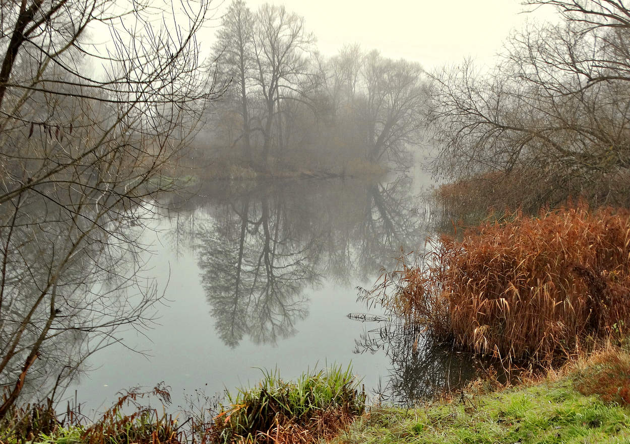 Туманный день на реке