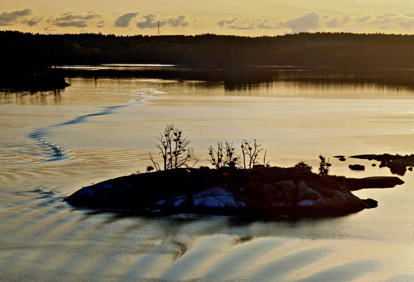 Утро в шведских шхерах