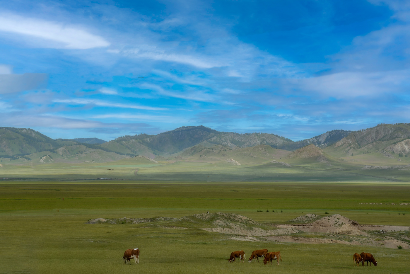 Алтайские просторы