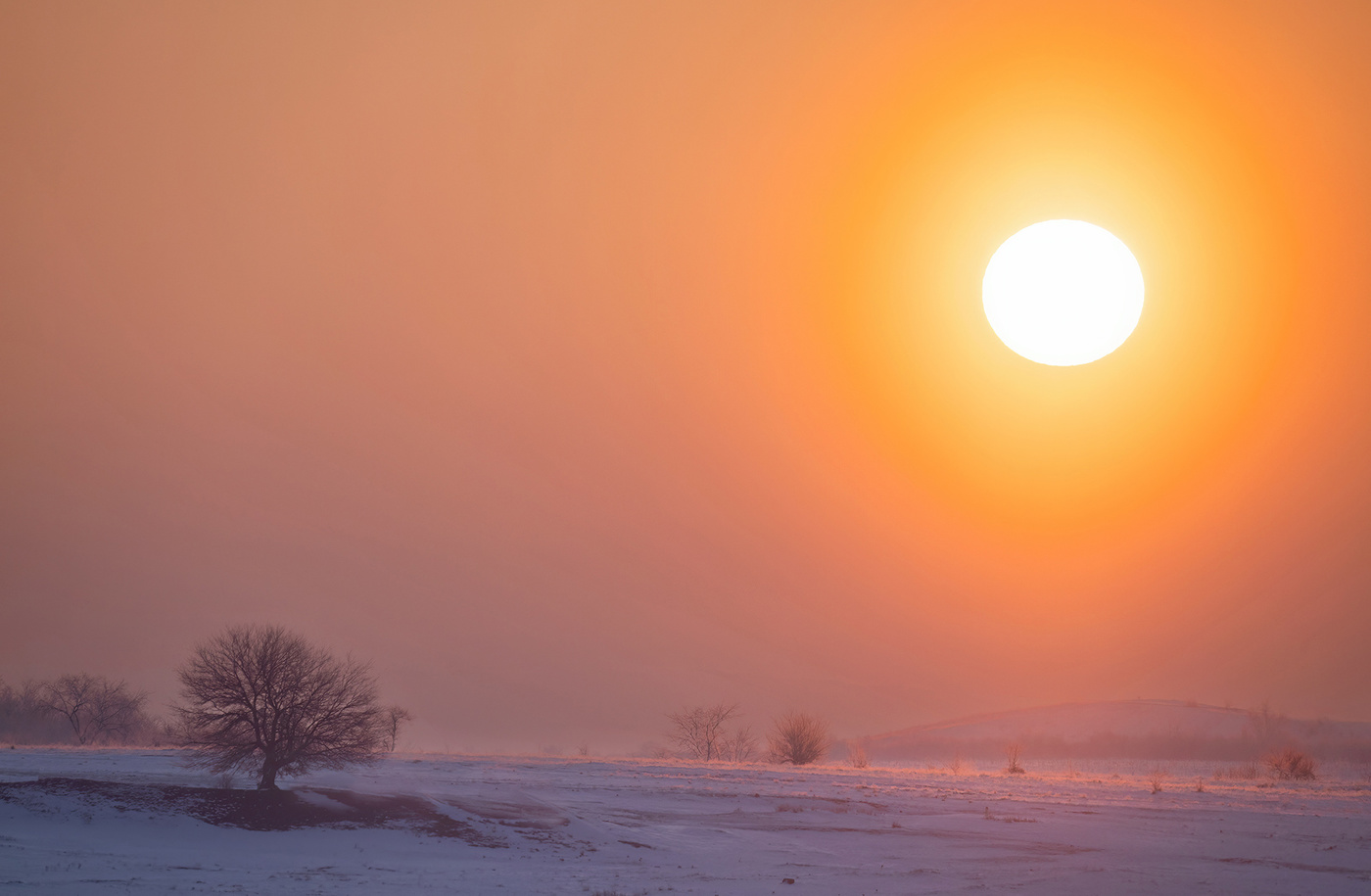 Мороз трескучий