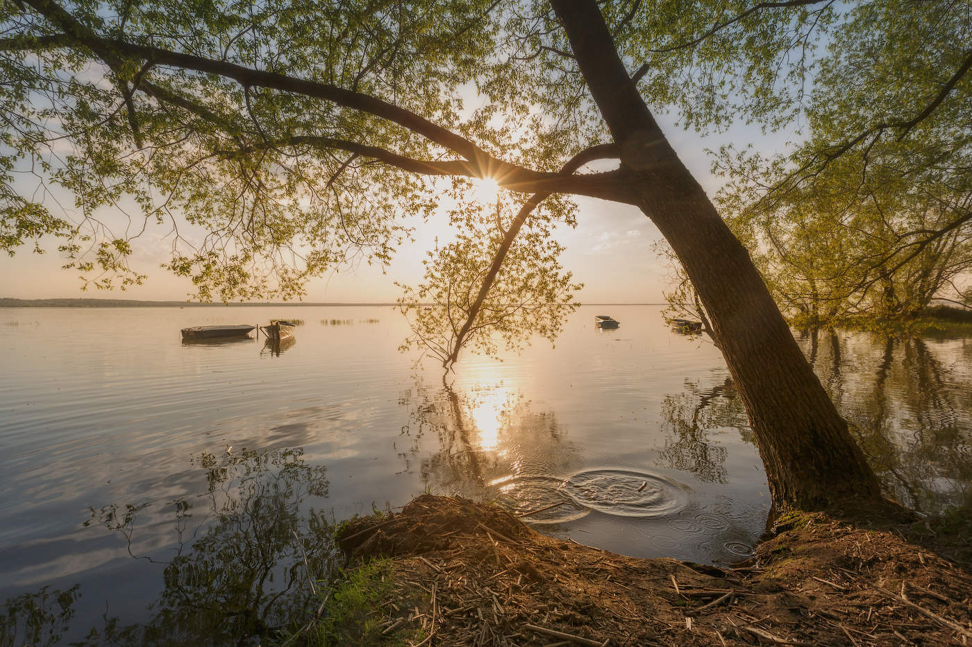 Круги на воде