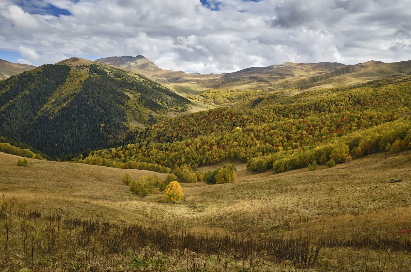 Вид с Архызского седла