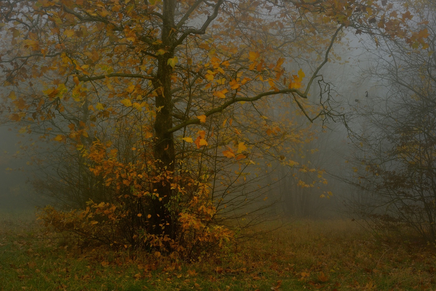 Прошедшая осень