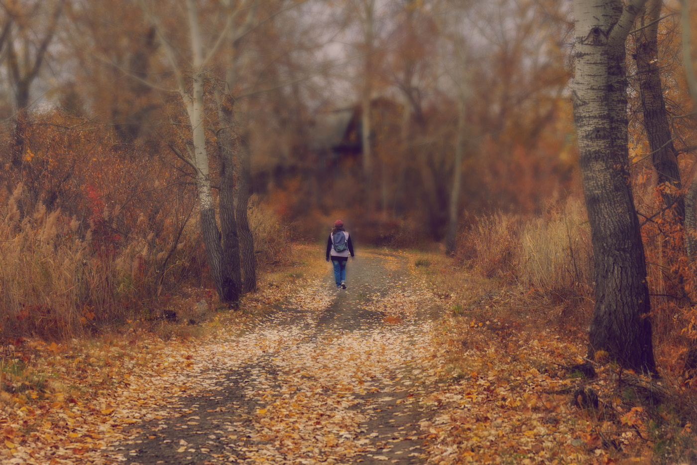 "Падали листья"