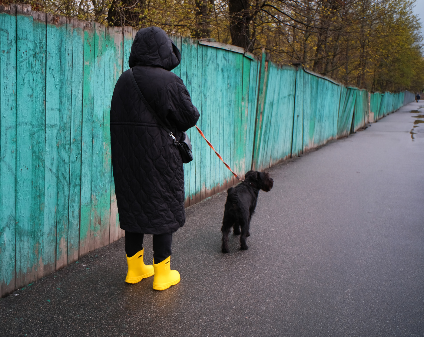 Кое-что о перспективах