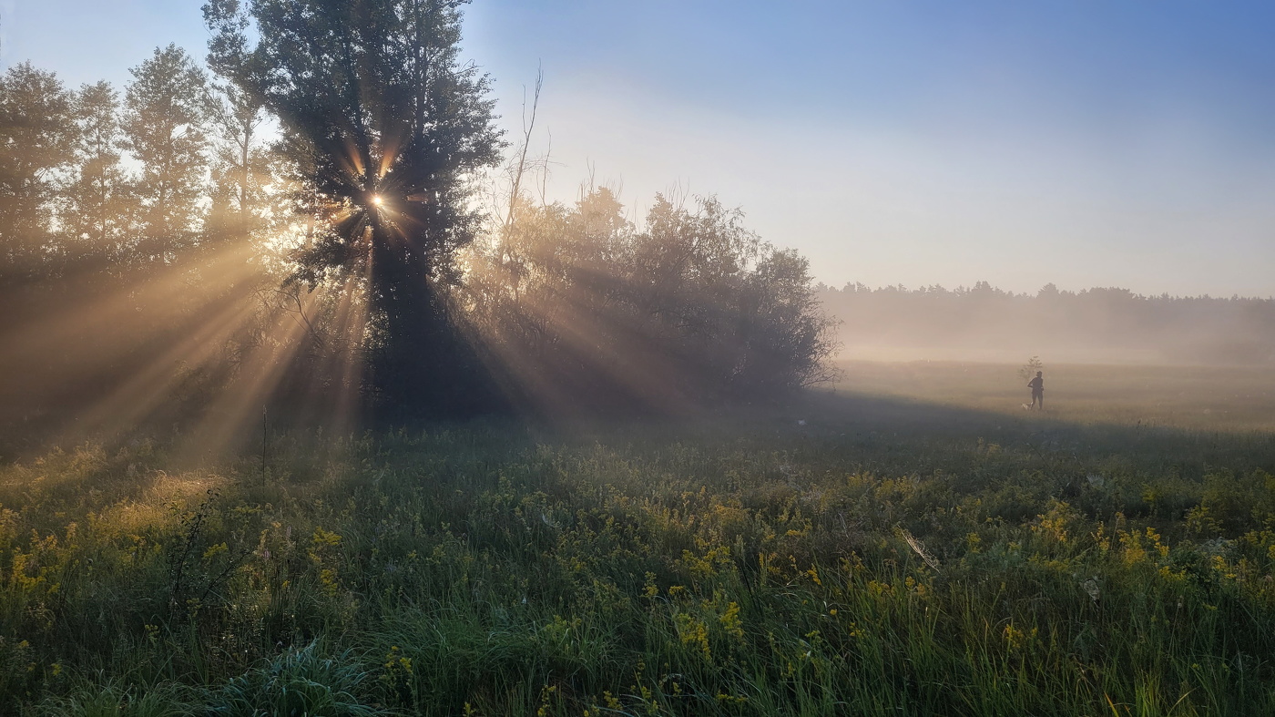 По утренним лугам