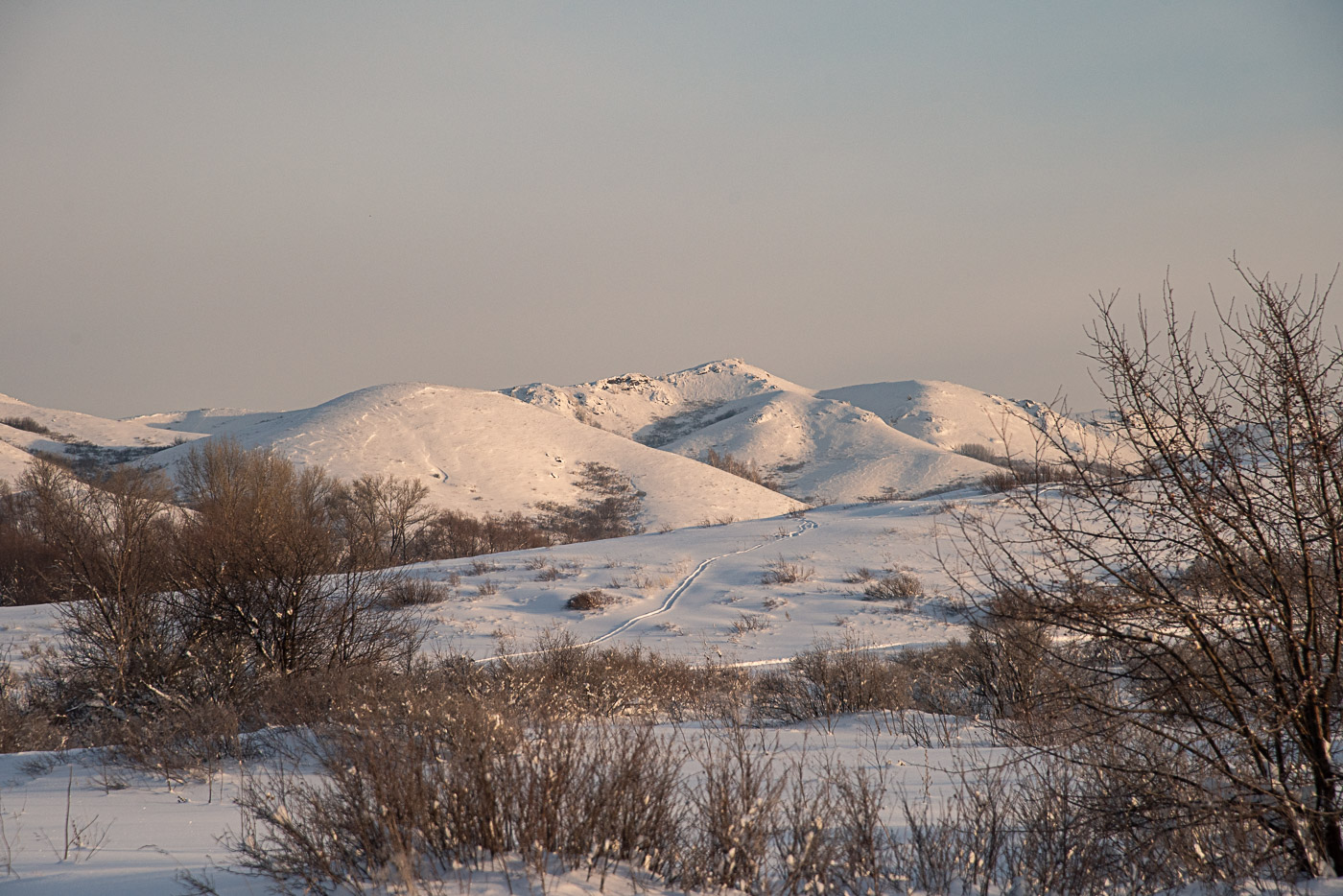 Мороз и солнце, день чудесный...