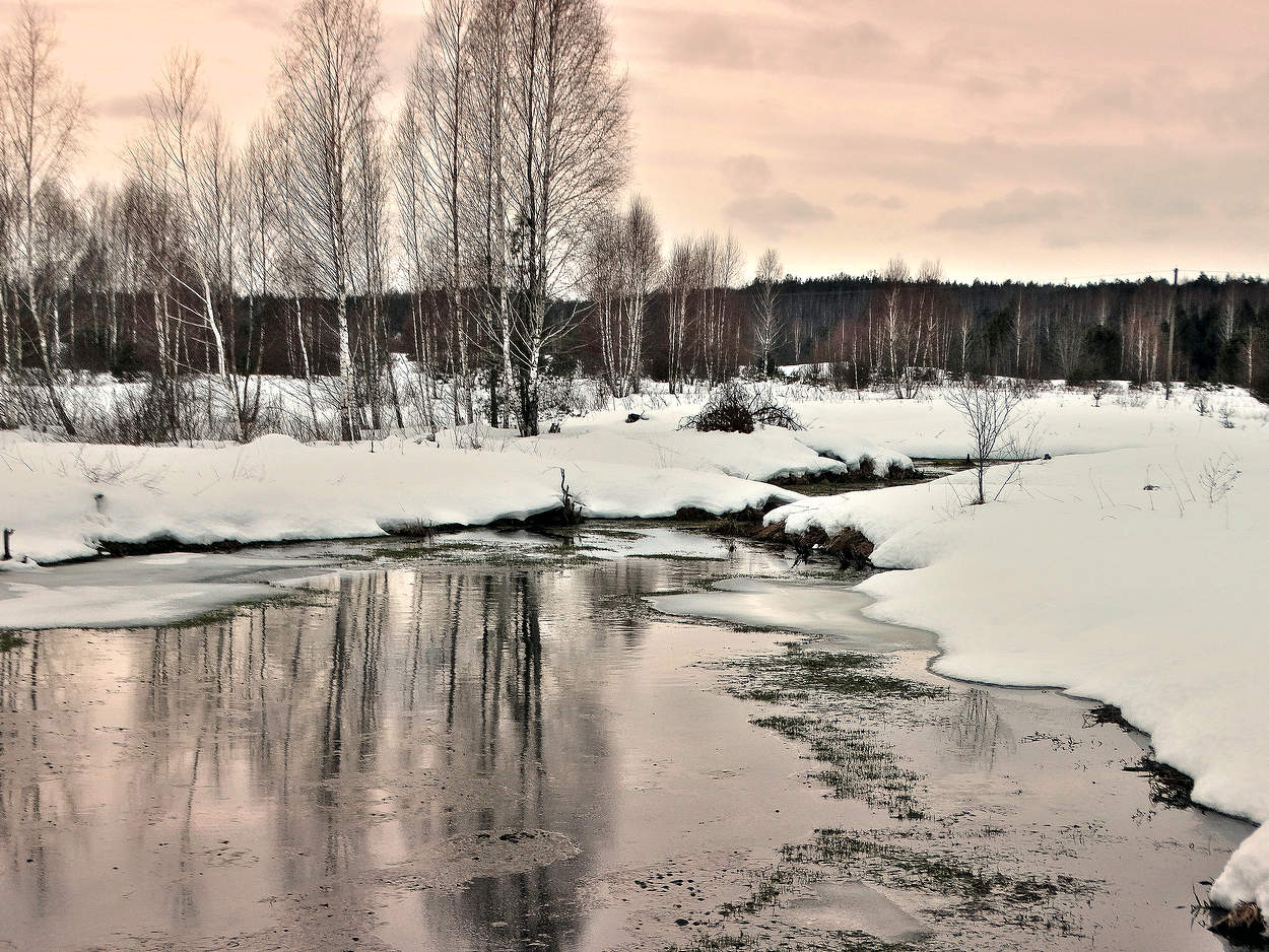 Вечерняя зимняя зарисовка