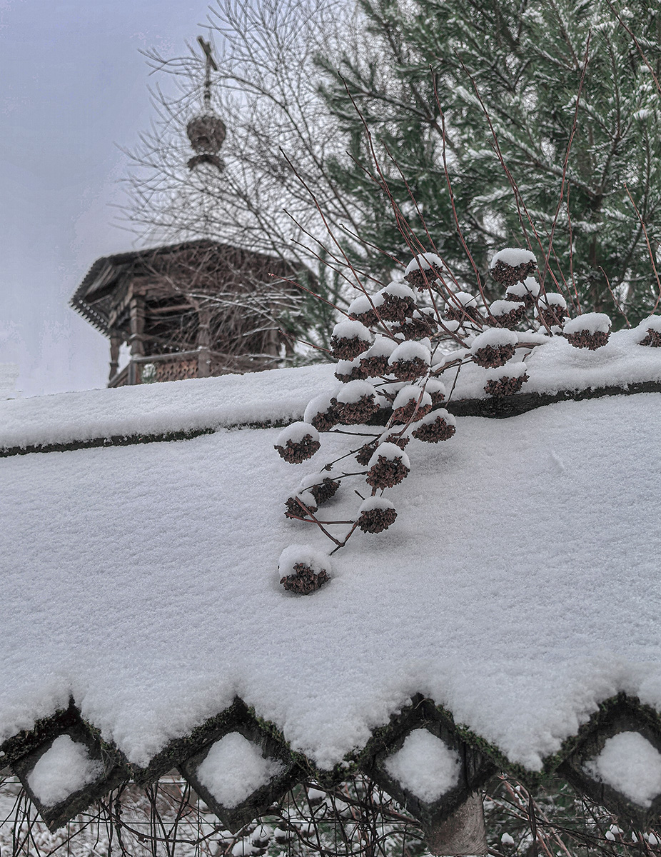 Пробный этюд зимы - первый снег