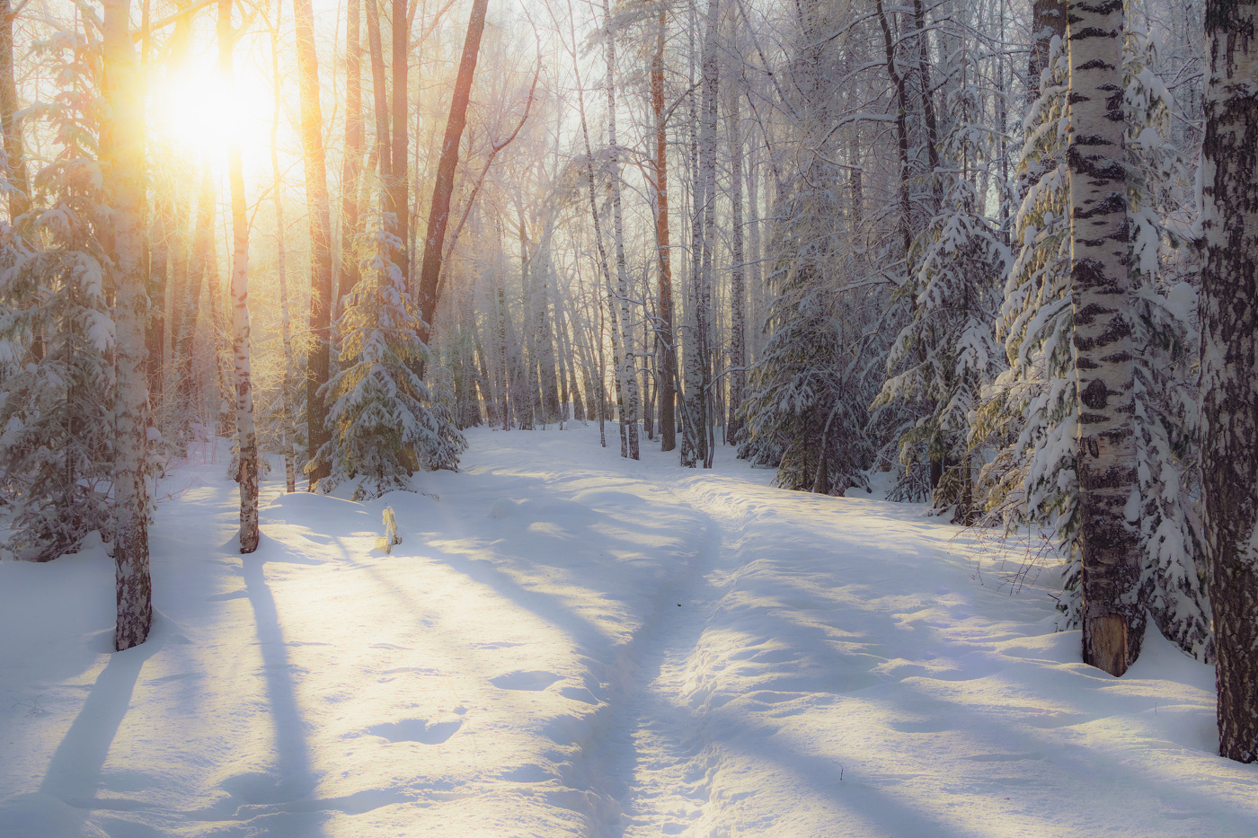 Морозным днём