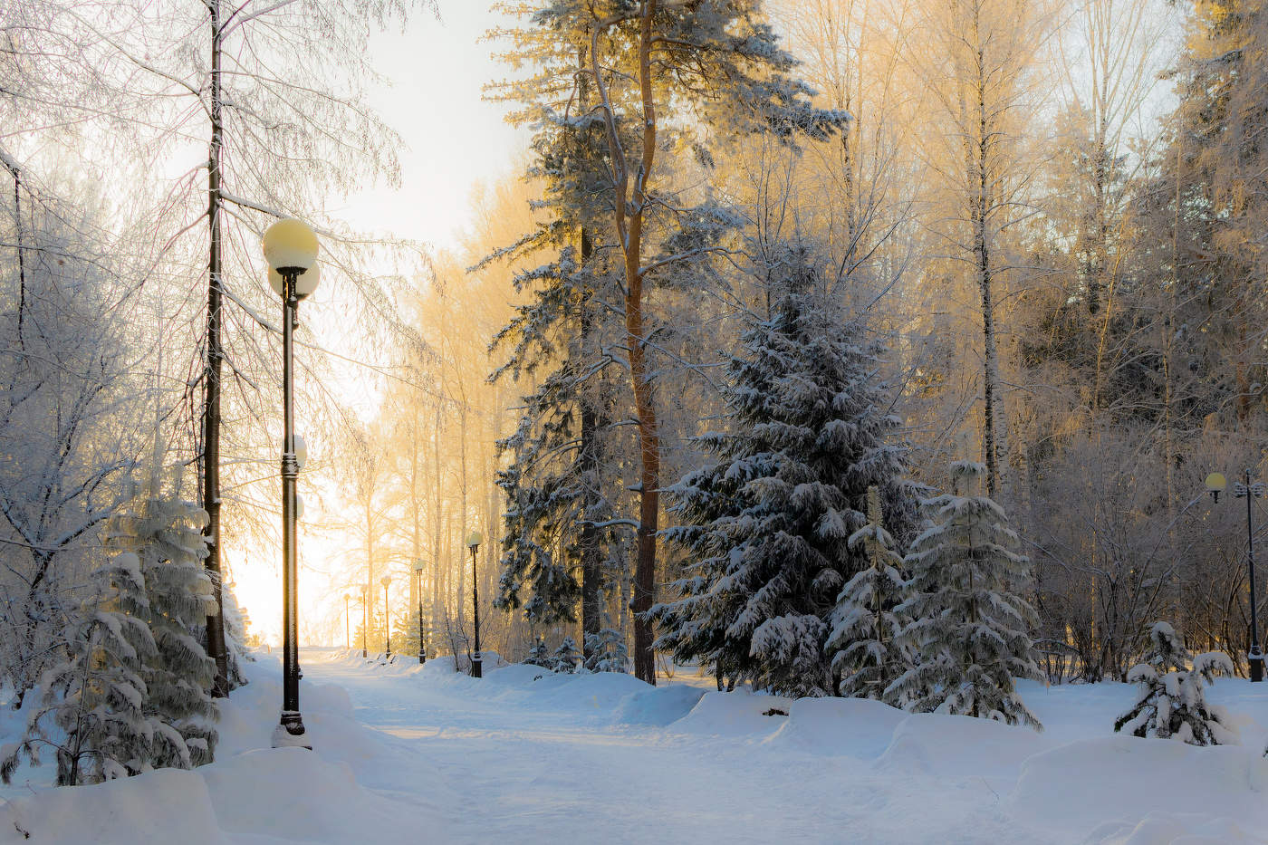 В зимнем парке