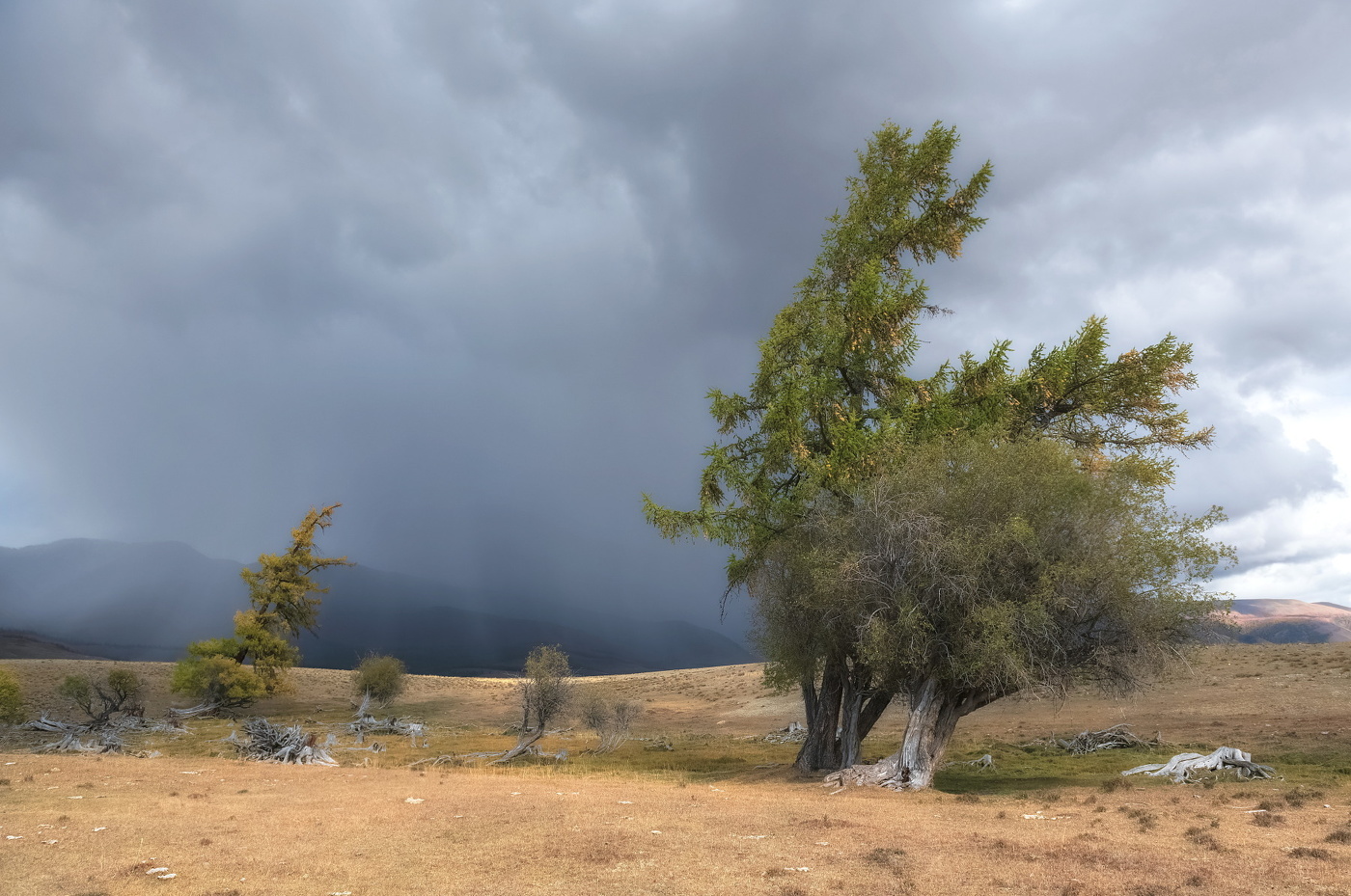 Перед грозой