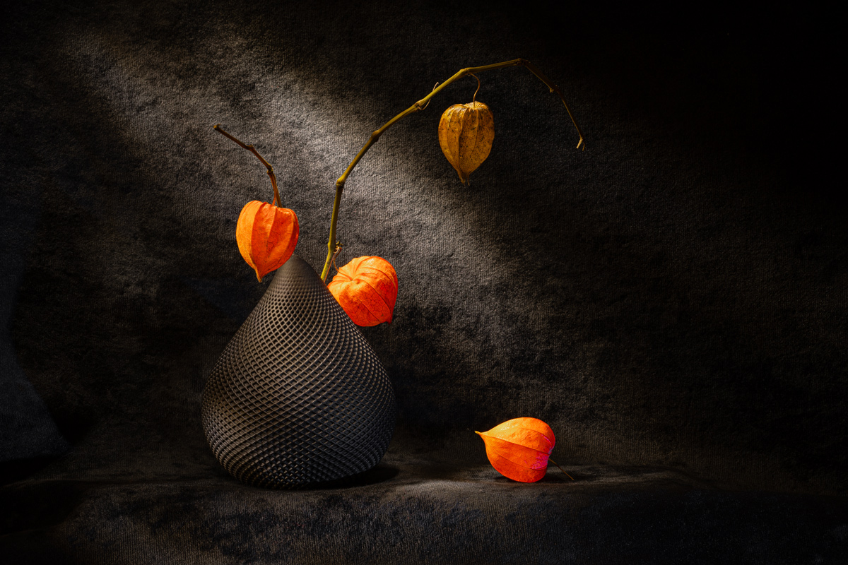 Этюд с физалисом II