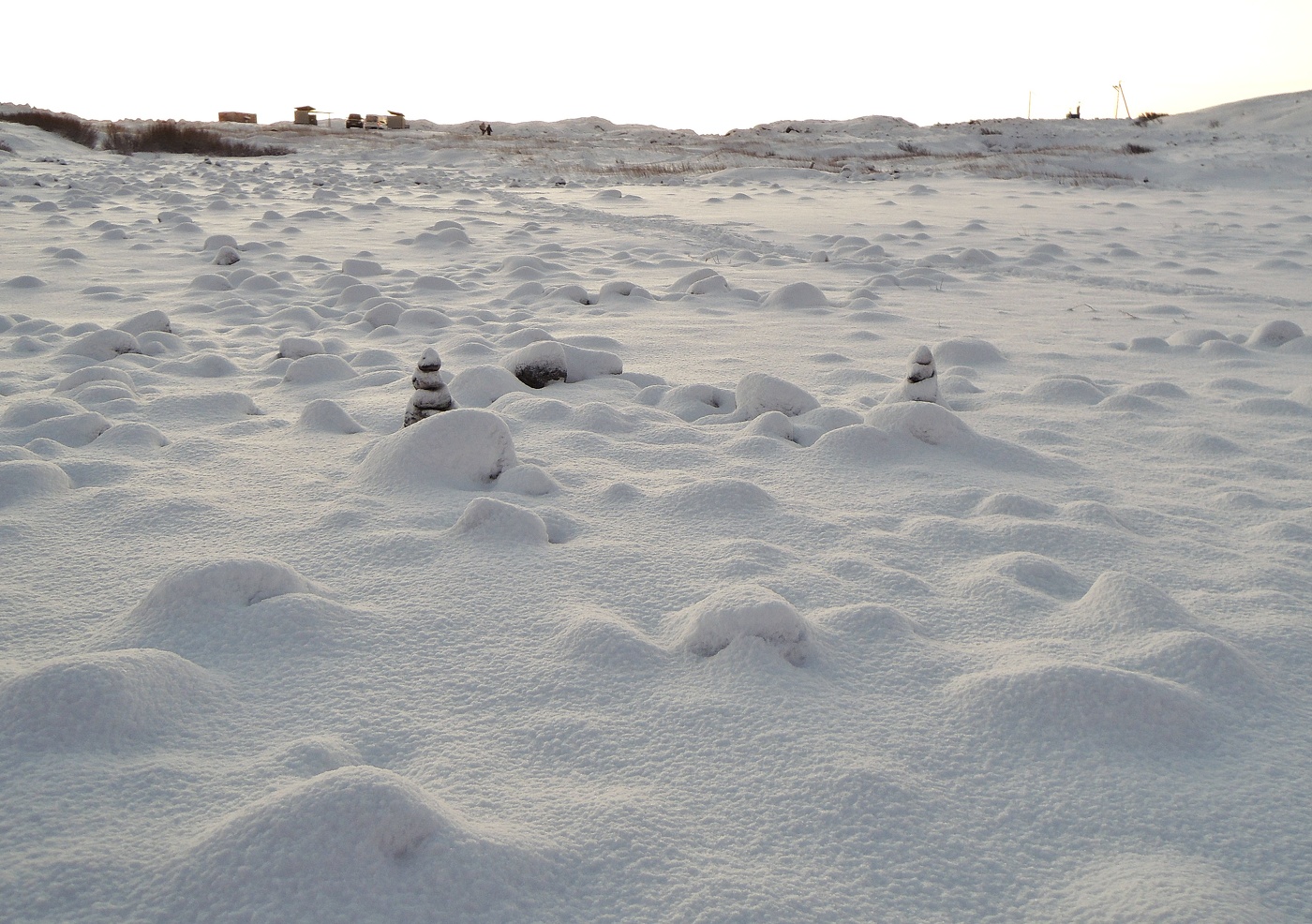 снежные чудики