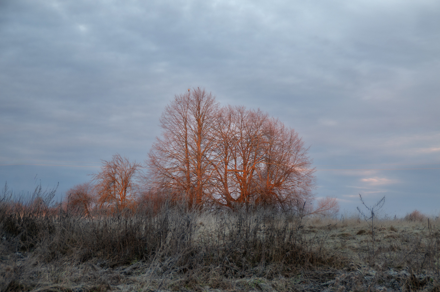 Декабрьское морозное утро