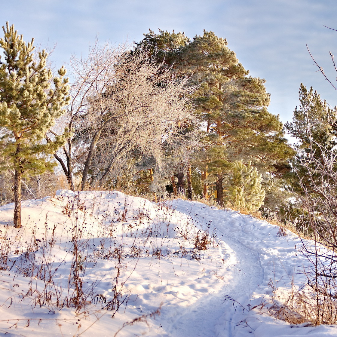 Морозным днём.